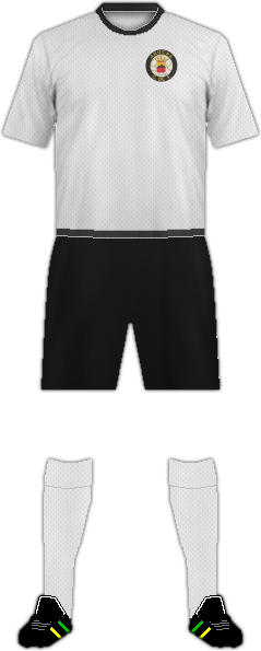 Kit ARUCAS C.F.-1