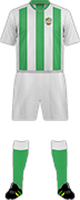 套件C.F. RACING XTIVA