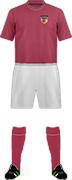 套件GUIPONS C.F. ALM&Agrave;SSERA