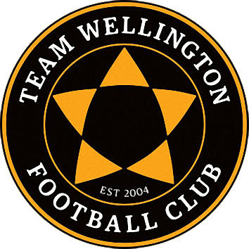 标志惠灵顿F.C队。 (新西兰)