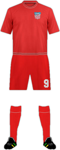 Kit FSV ZWICKAU