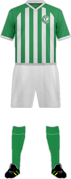 キットVFLオルデンブルク