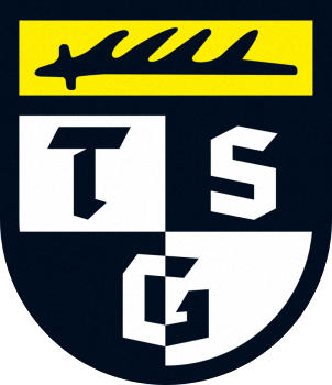 标志TSG巴林根 (德国)