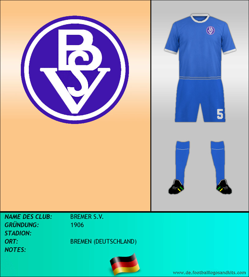 Logo BREMER S.V.