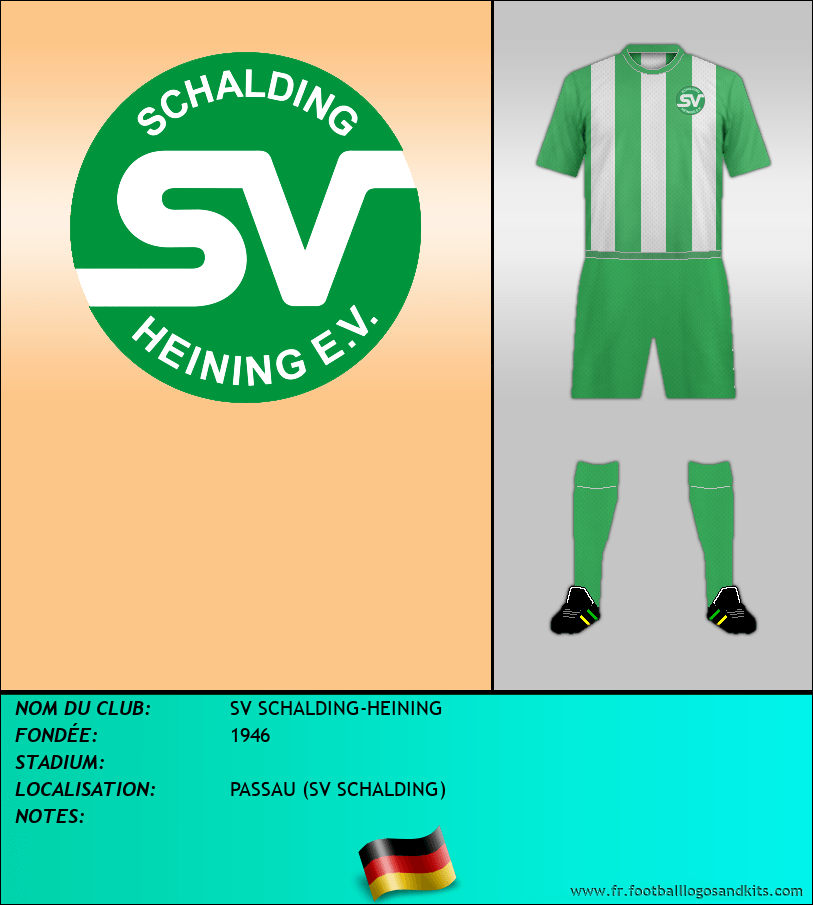 Logo de SV SCHALDING-HEINING