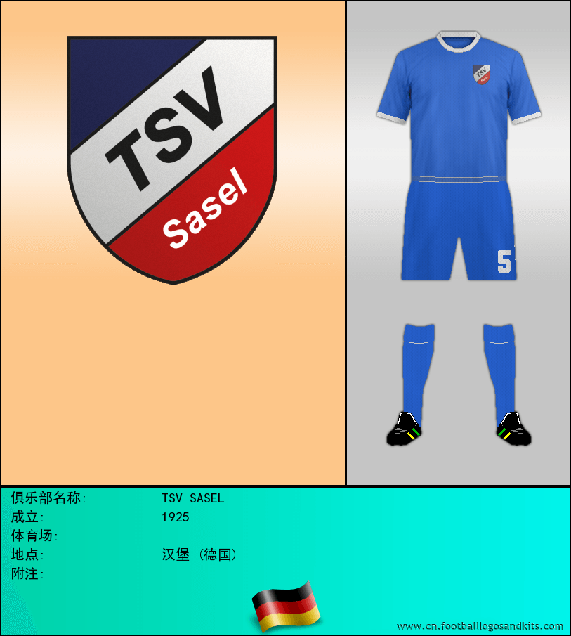 标志TSV SASEL