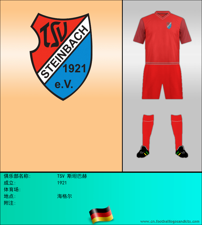 标志TSV 斯坦巴赫