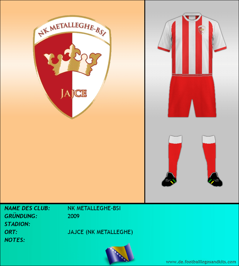 Logo NK METALLEGHE-BSI