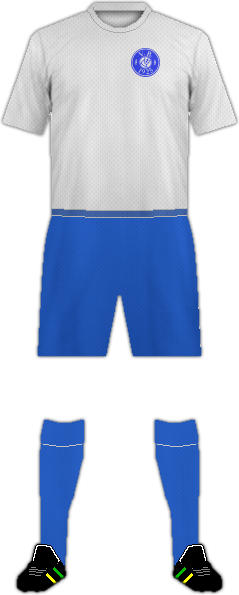 套件维加尔德大胆小球团