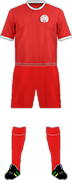 Trikot GLOSTRUP FK-1