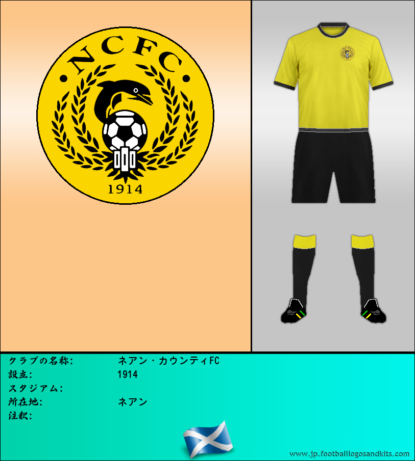 のロゴネアン・カウンティFC