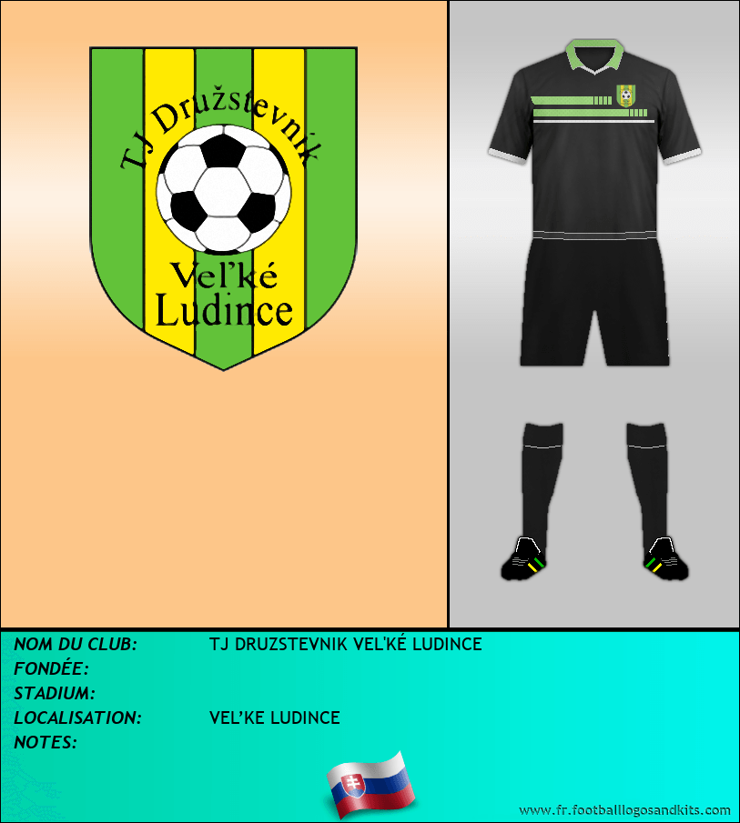 Logo de TJ DRUZSTEVNIK VEL'KÉ LUDINCE