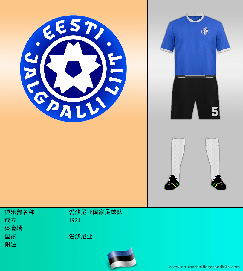 标志爱沙尼亚国家足球队