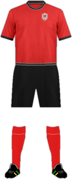キットカーディフ・シティFC-2