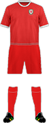 Trikot WALES FUßBALLNATIONALMANNSCHAFT