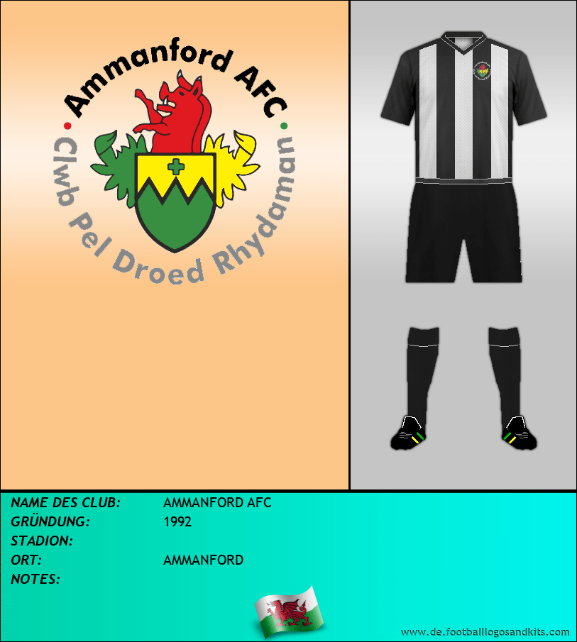 Logo AMMANFORD AFC