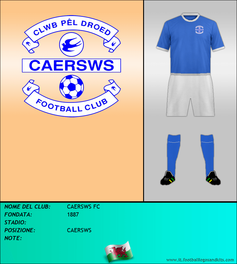 Logo di CAERSWS FC