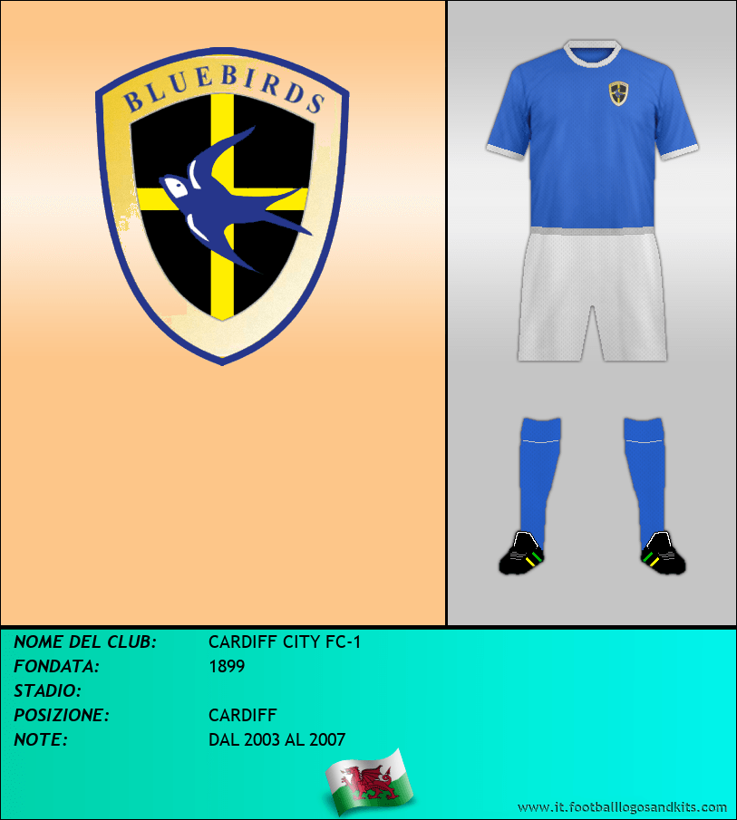 Logo di CARDIFF CITY FC-1