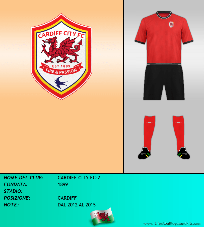 Logo di CARDIFF CITY FC-2