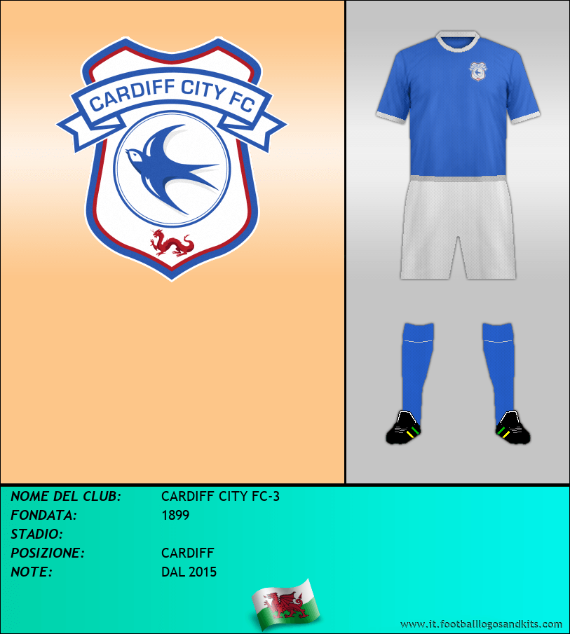 Logo di CARDIFF CITY FC-3