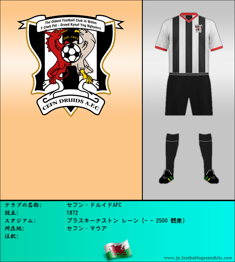 のロゴセフン・ドルイドAFC