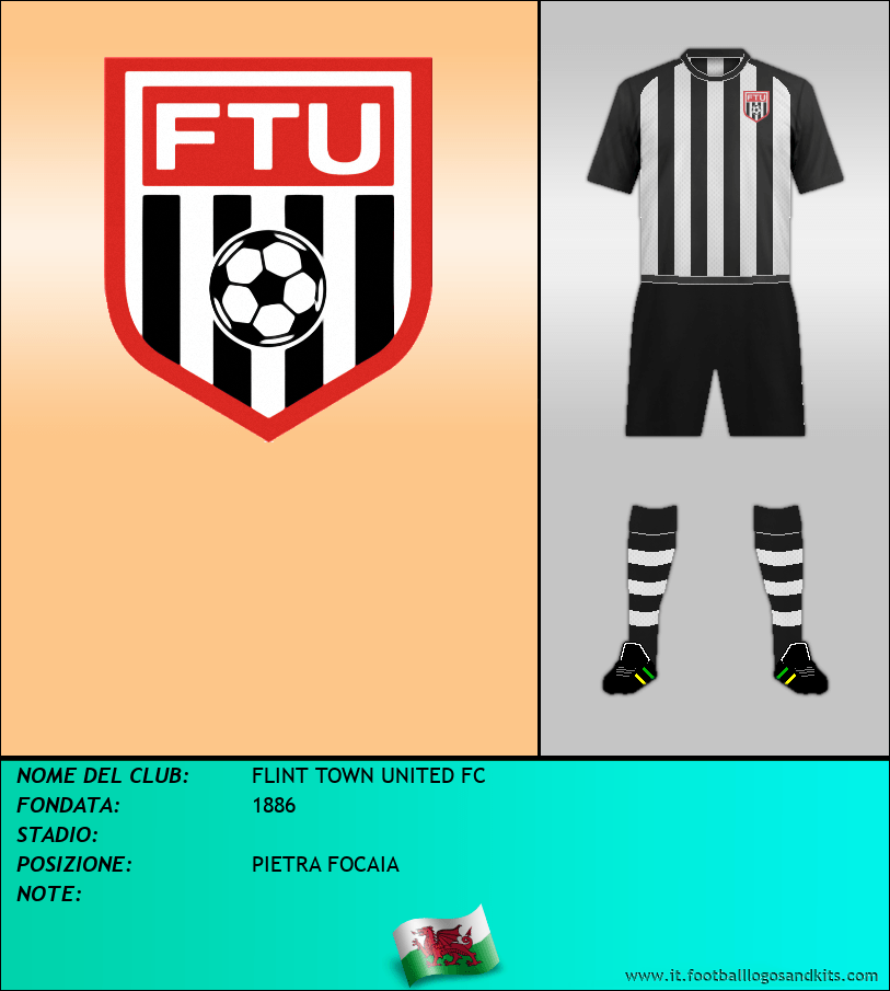 Logo di FLINT TOWN UNITED FC