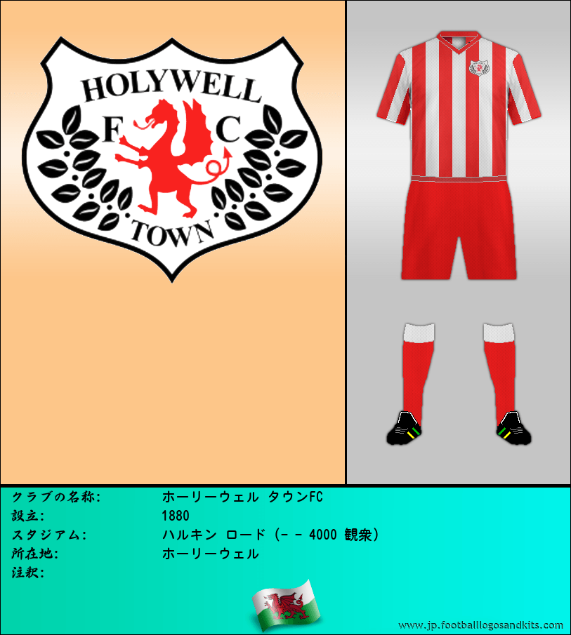 のロゴホーリーウェル タウンFC