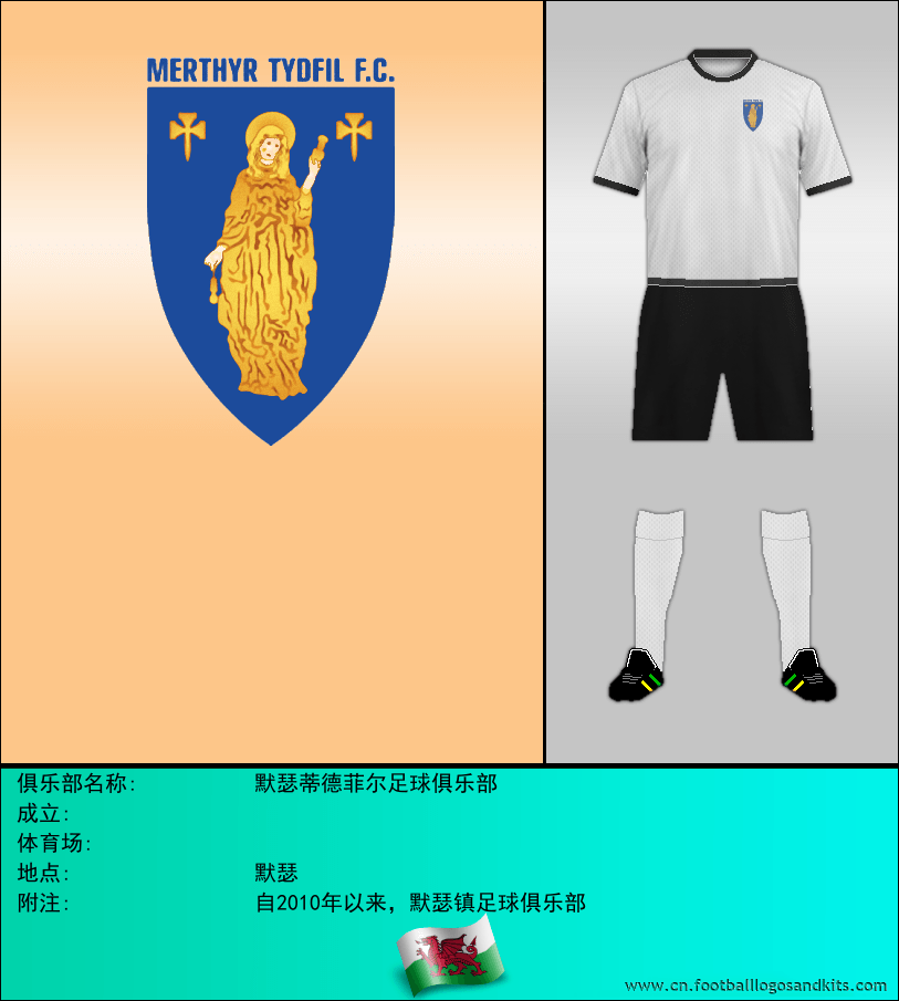 标志默瑟蒂德菲尔足球俱乐部
