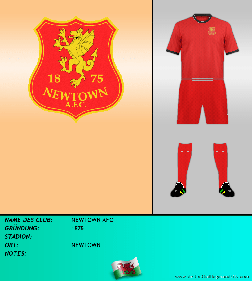 Logo NEWTOWN AFC