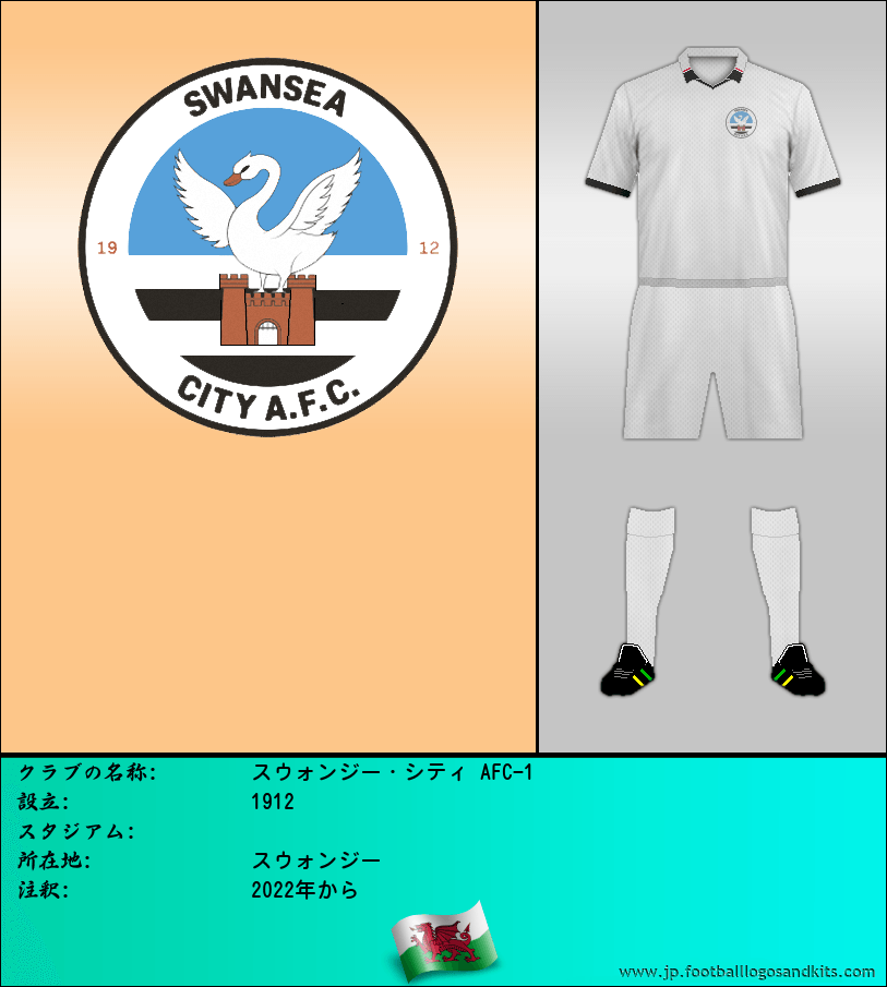 のロゴスウォンジー・シティ AFC-1