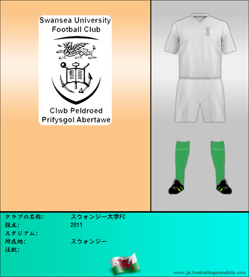 のロゴスウォンジー大学FC