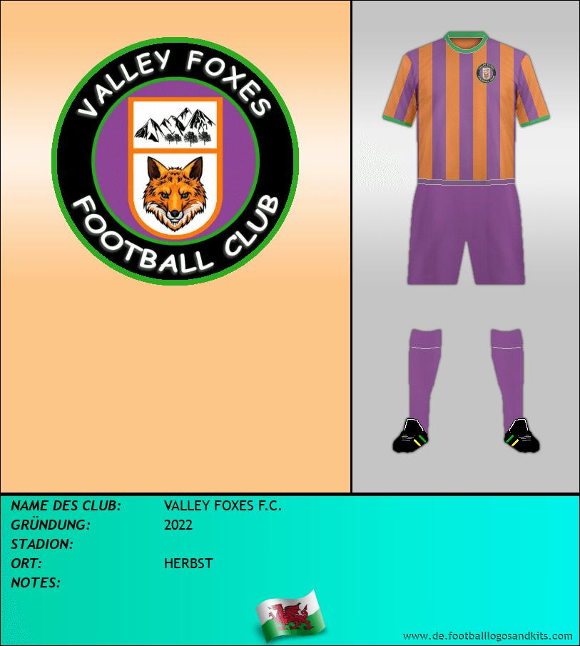 Logo VALLEY FOXES F.C.