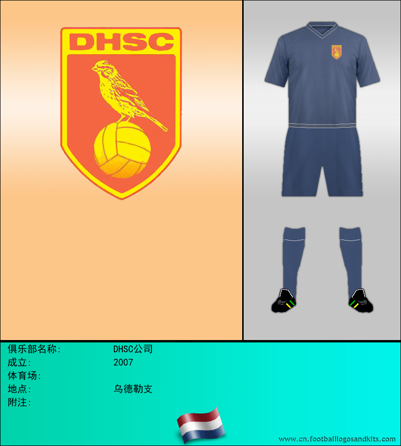 标志DHSC公司