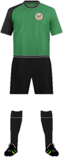 套件南卡罗来纳州菲尼克斯