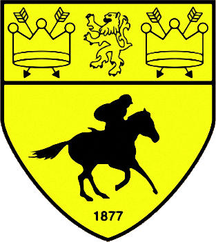 のロゴニューマーケット・タウンFC (イギリス)