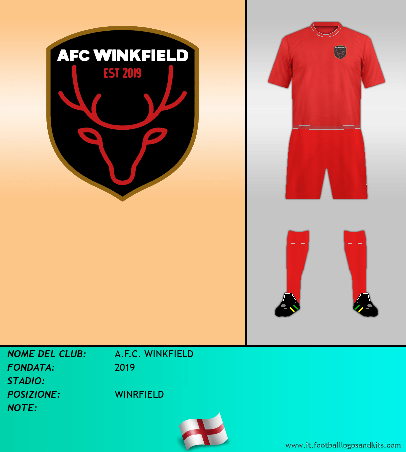 Logo di A.F.C. WINKFIELD
