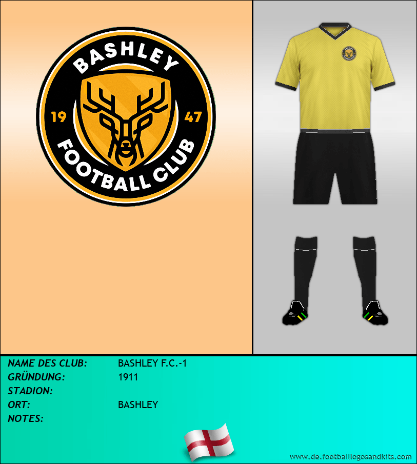 Logo BASHLEY F.C.-1