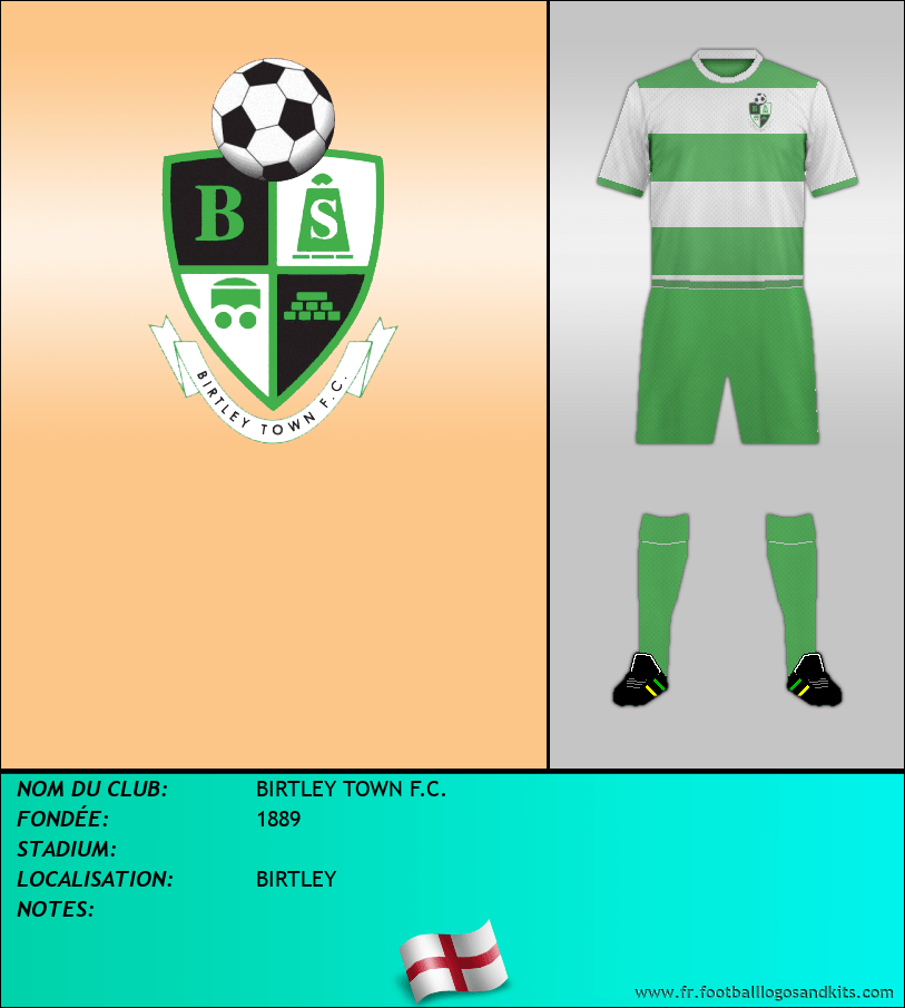 Logo de BIRTLEY TOWN F.C.