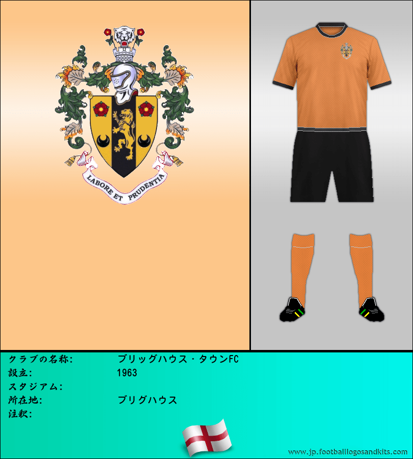 のロゴブリッグハウス・タウンFC