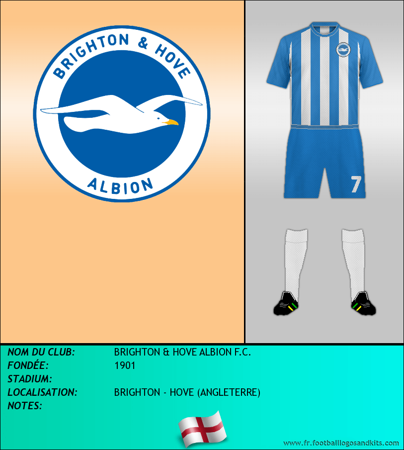 Logo de BRIGHTON & HOVE ALBION F.C.