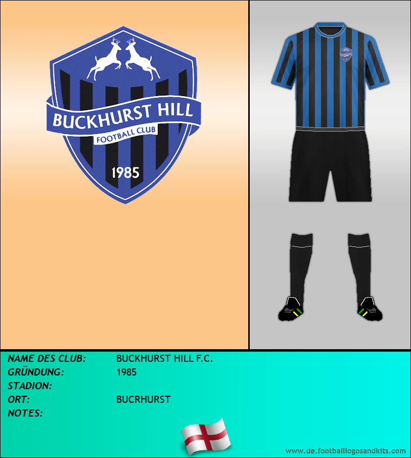 Logo BUCKHURST HILL F.C.