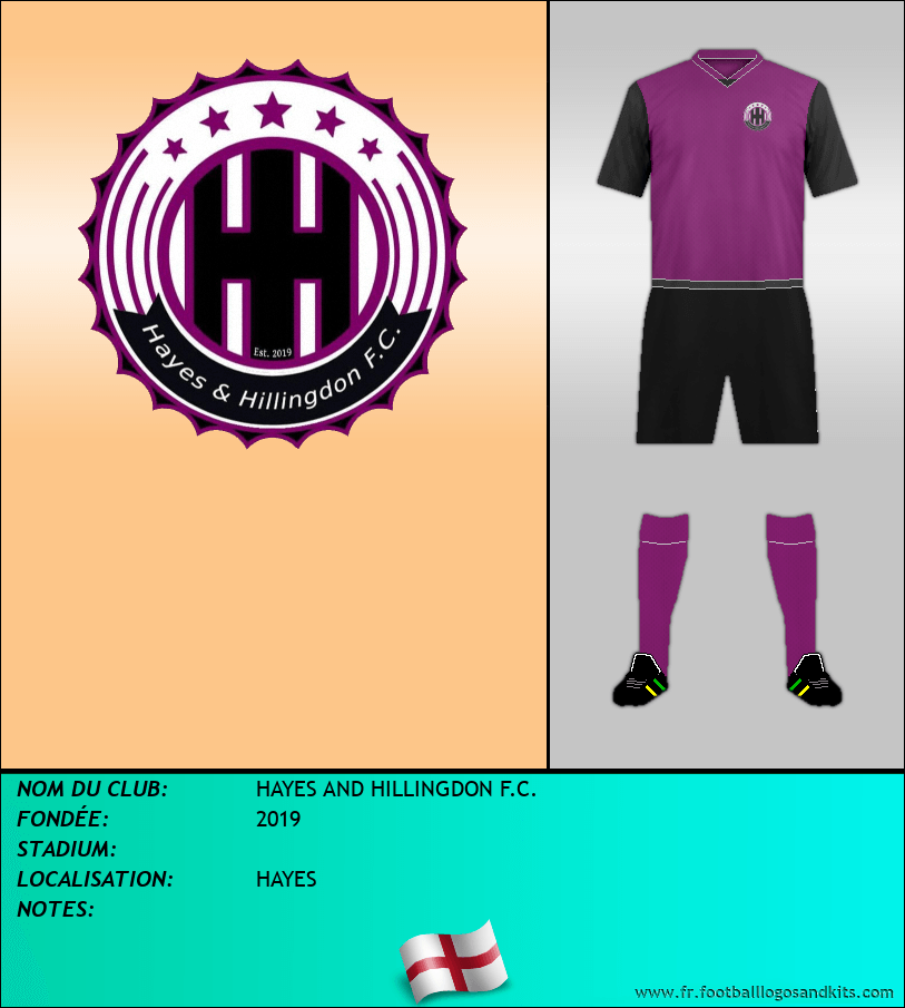 Logo de HAYES AND HILLINGDON F.C.