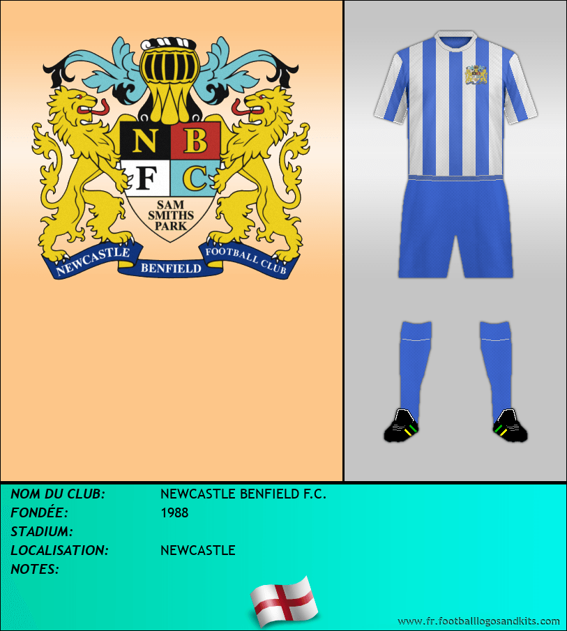 Logo de NEWCASTLE BENFIELD F.C.