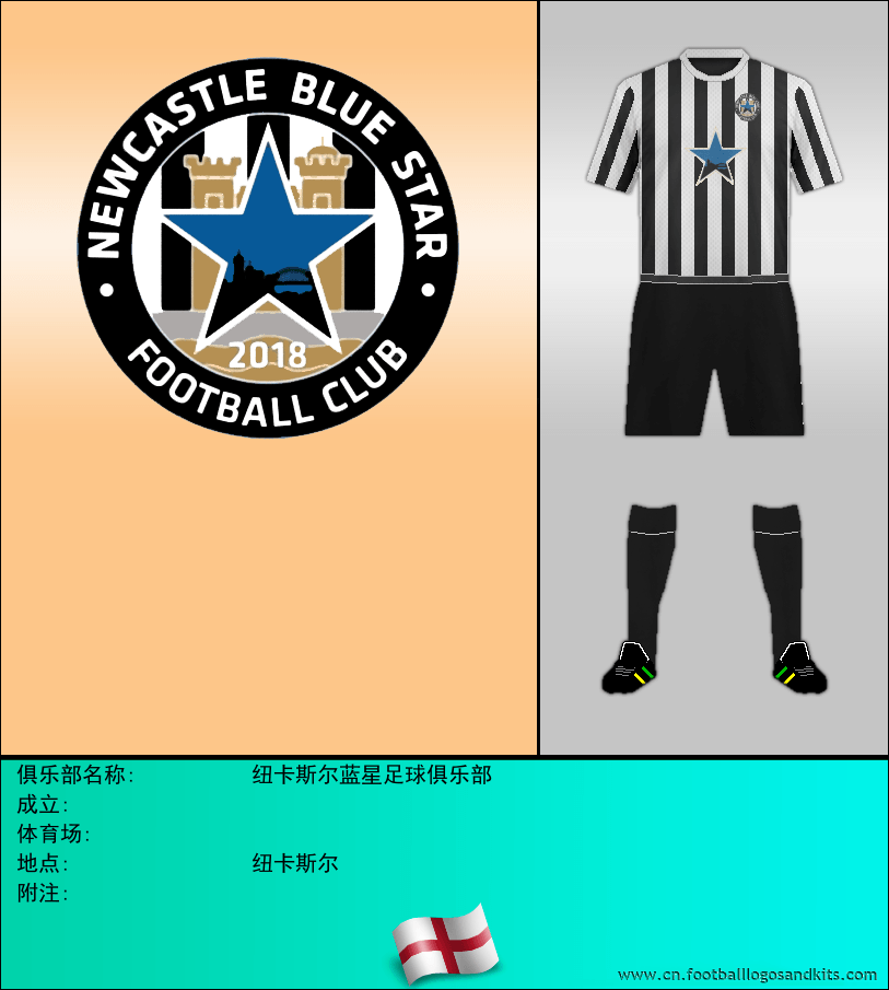 标志纽卡斯尔蓝星足球俱乐部