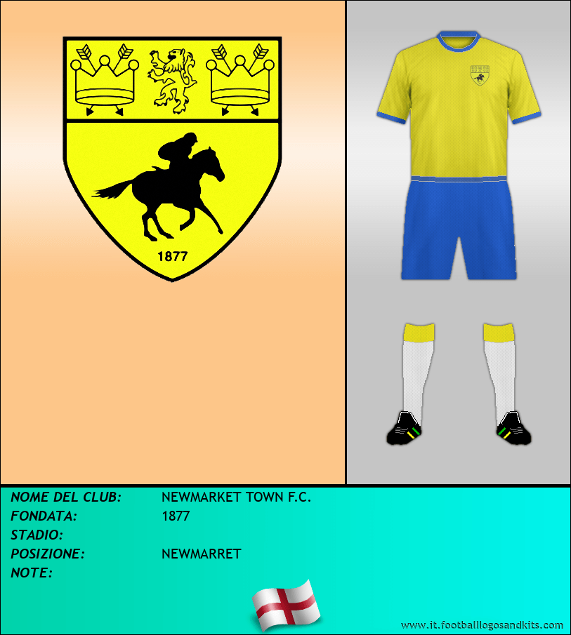Logo di NEWMARKET TOWN F.C.