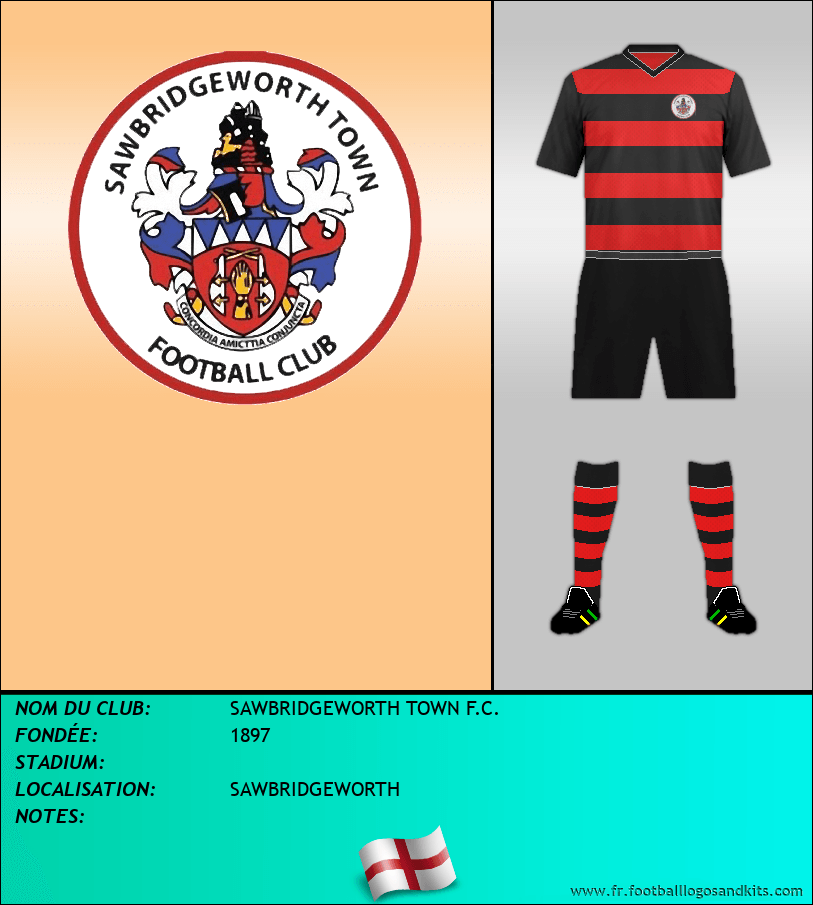 Logo de SAWBRIDGEWORTH TOWN F.C.