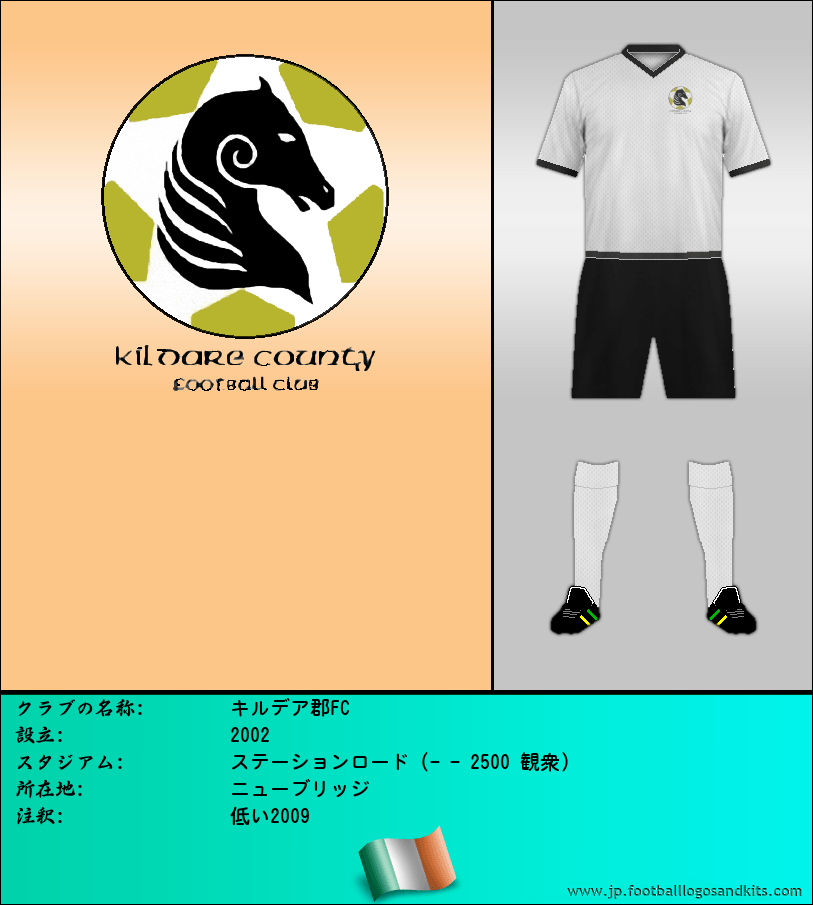 のロゴキルデア郡FC