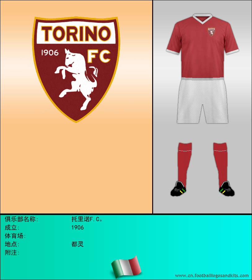 标志托里诺F.C。