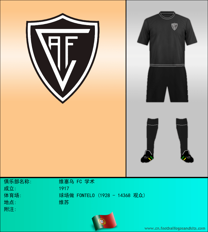 标志维塞乌 FC 学术