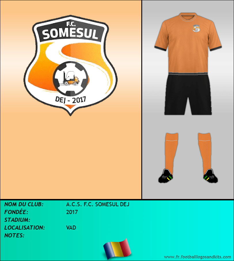 Logo de A.C.S. F.C. SOMESUL DEJ